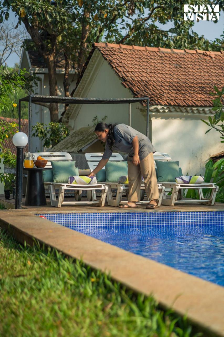 Stayvista At Amalia By Tellado With Pool, Wifi Assagao 外观 照片